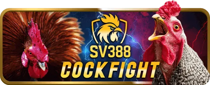 Lợi ích khi cá cược đá gà tại VZ888